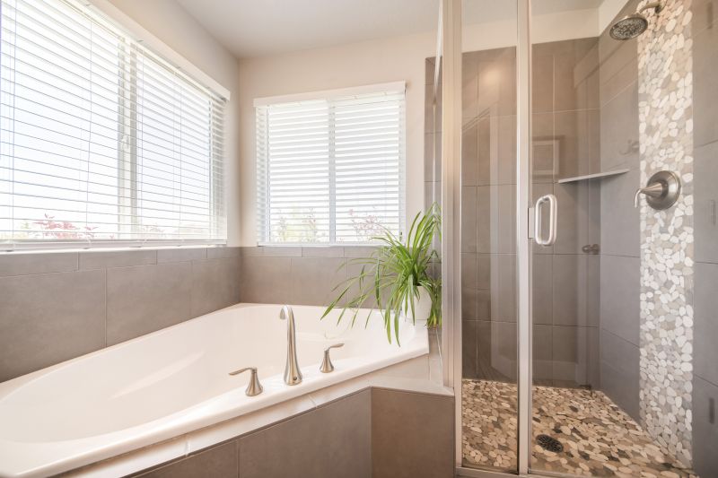 Professional Bathroom Renovation